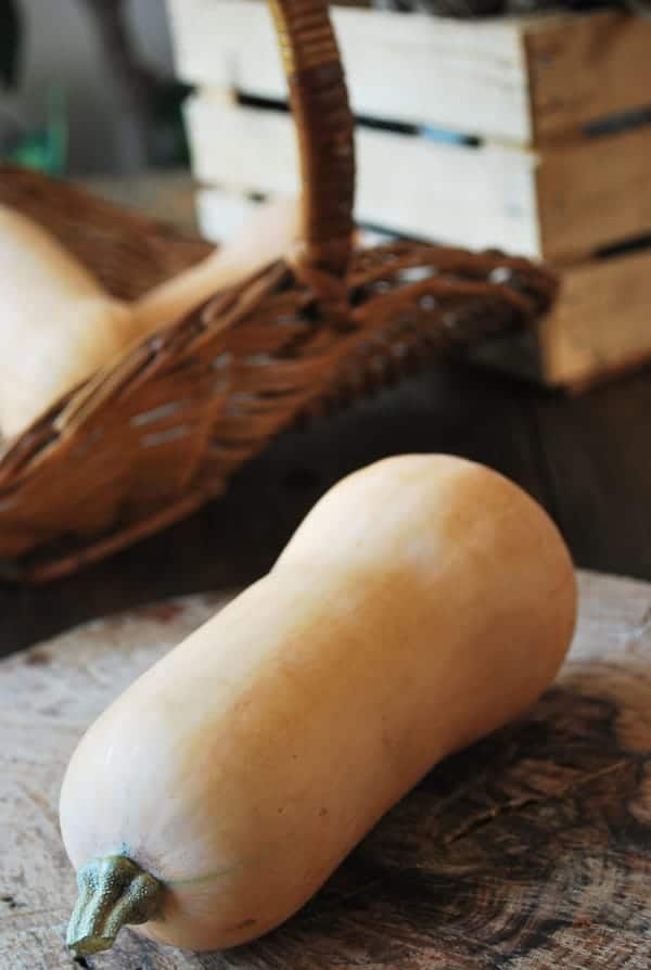 Calabaza-Butternut-1