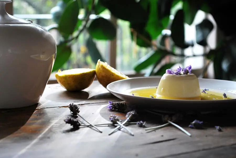 panna cotta de lavanda