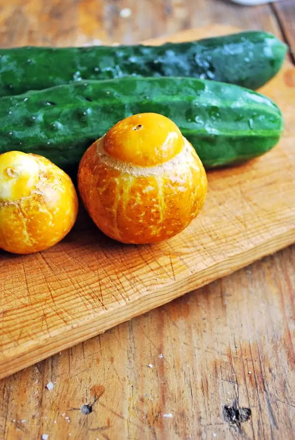 pepinos-limon-y-comun
