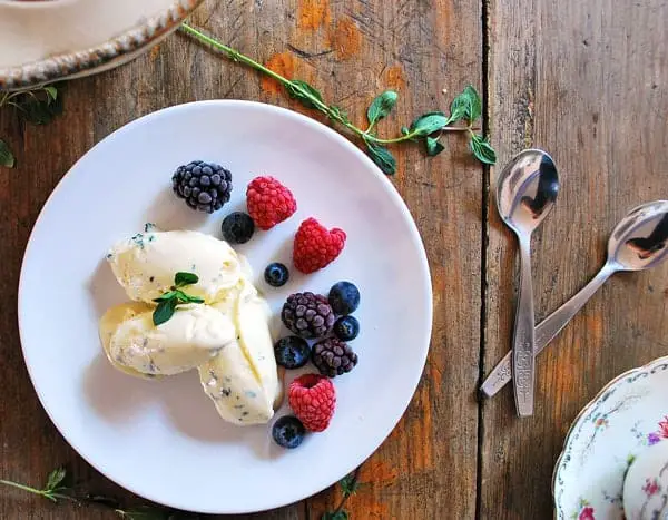 Cómo hacer helado de menta con y sin máquina de helado - Sabores de mi  Huerto