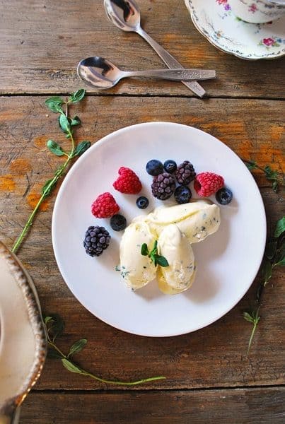 Helado-de-menta-con-frutos-rojos-bueno