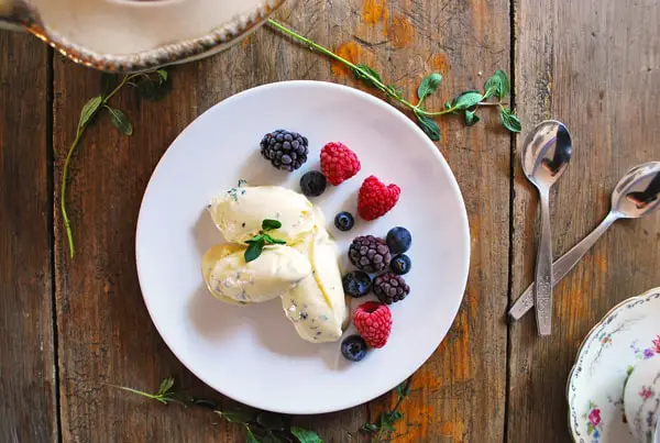 helado de menta servido en un plato