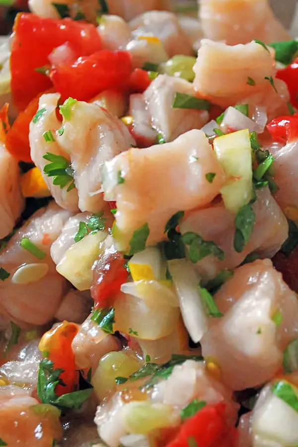 Ceviche - Sabores de mi Huerto