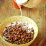 Cereal de chocolate, sin azucares refinadas, con avena y una variedad de semillas las cuales aportan muchísimos nutrientes. Una receta fácil de hacer y deliciosa.