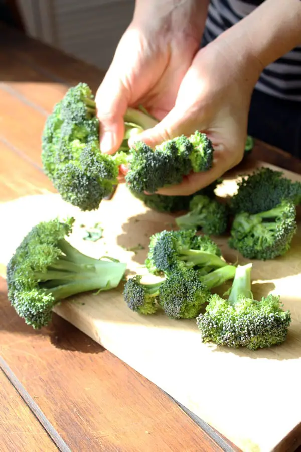 Brócoli asado, tal vez es la receta más fácil que pueda compartirles, a mí siempre me saca de apuros y es el acompañamiento perfecto a la hora de la comida y lo mejor son las partes doradas son deliciosas, así que asegúrense que sucedan. 