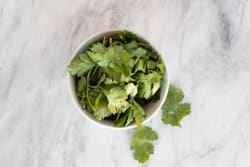 Cilantro en un bowl