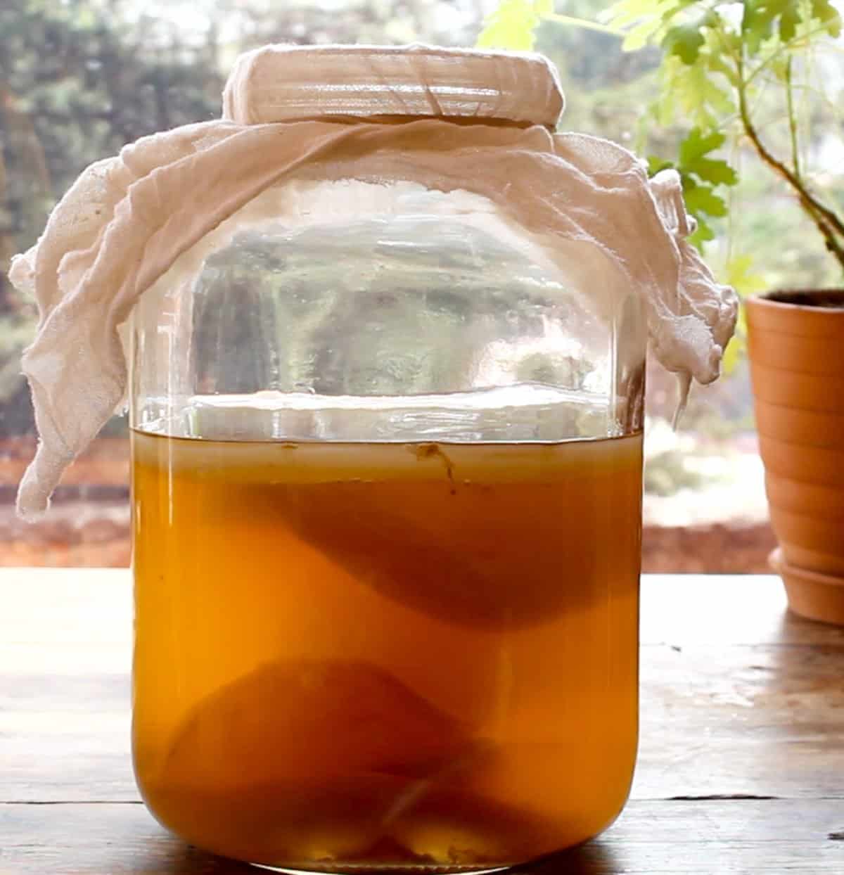 Cómo hacer kombucha en casa