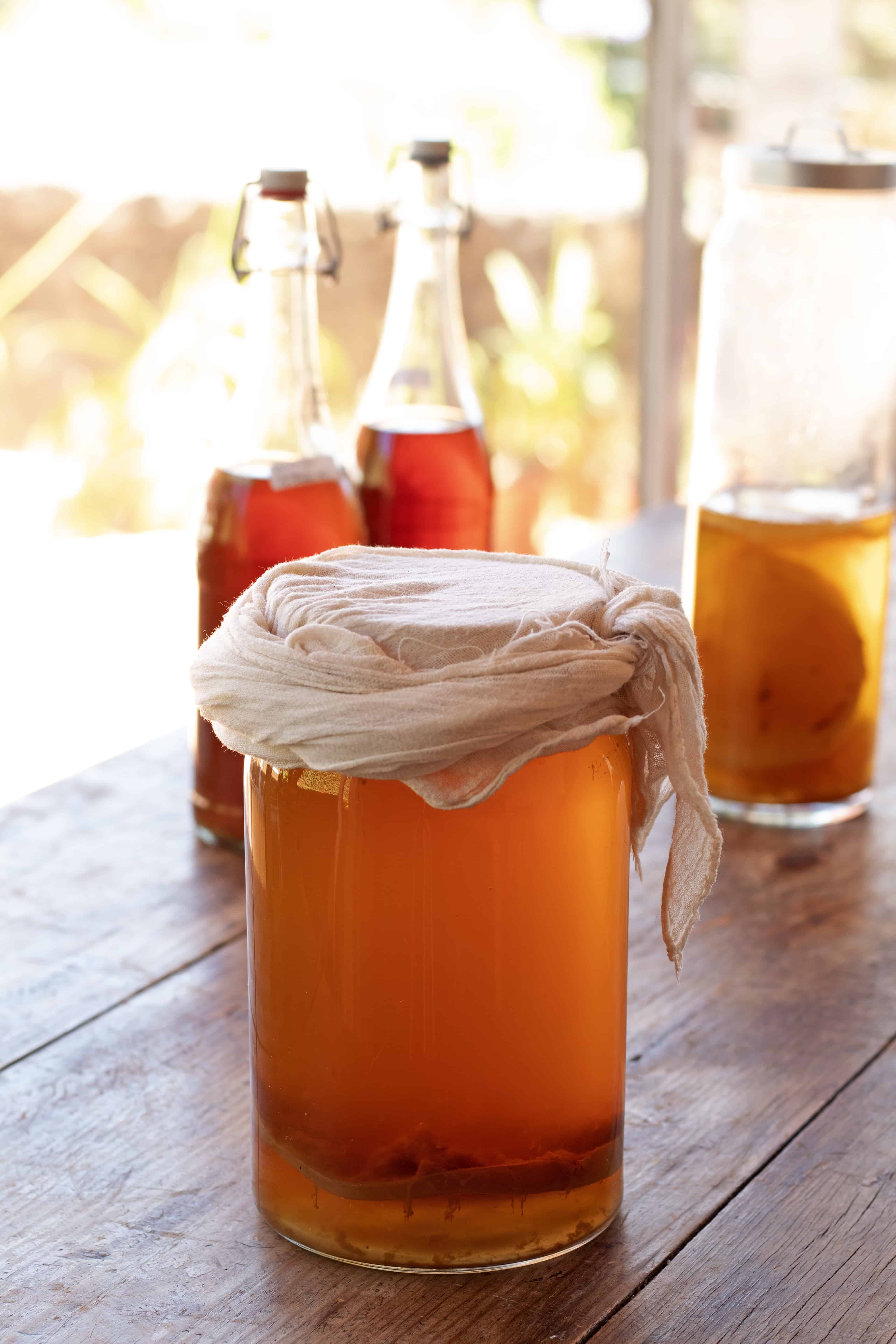 Como hacer kombucha en casa