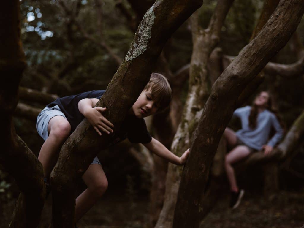 niño escalando un árbol