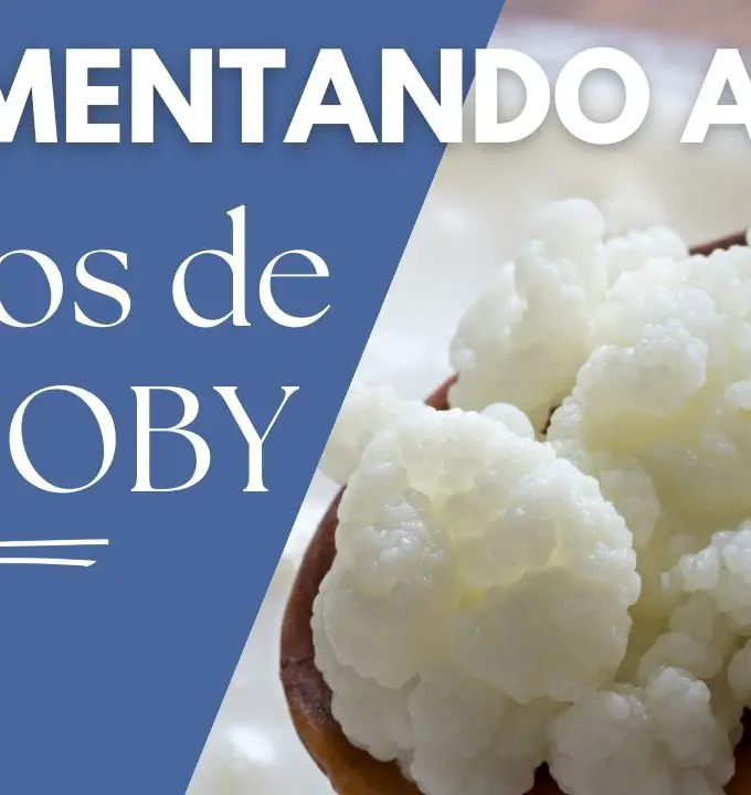 Tipos de SCOBY